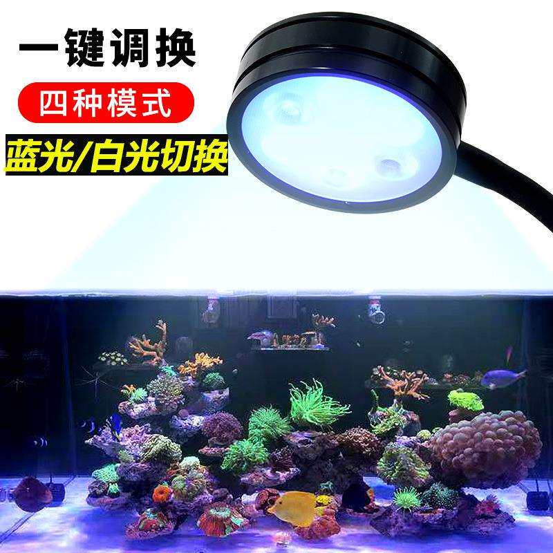 可调亮度海缸灯微缸珊瑚灯海水藻缸灯白光蓝光切换水草灯