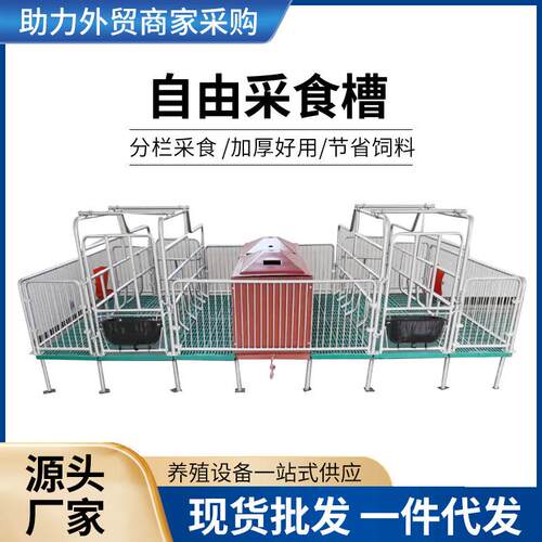 母猪产床母猪分娩产床2.2*3.6米热镀锌管养猪设备双体产床