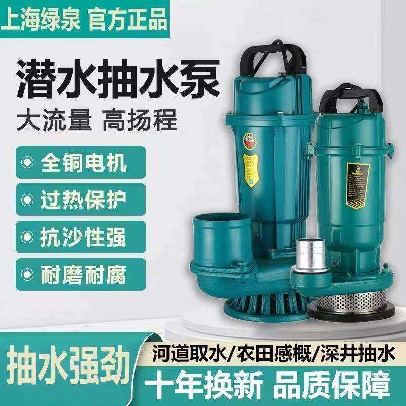 水泵抽水家用上海人民款潜水泵220v清水泵灌溉高扬程大流量抽水泵