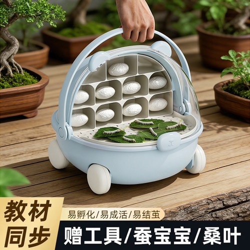 【顺丰当天发】蚕宝宝太空舱学生养蚕套装饲养盒蚕卵幼蚕新鲜桑叶