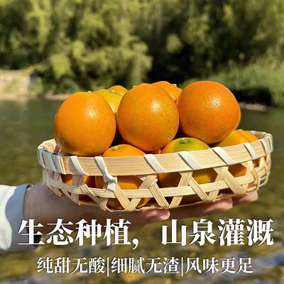 正宗广西融安脆蜜金柑第三代金桔纯甜多汁自家果园直发独立qz5-4