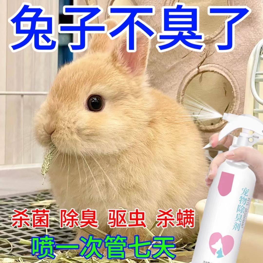兔子驱虫除臭除跳蚤去味喷雾兔清洁剂小宠用品垂耳侏儒兔专用消臭