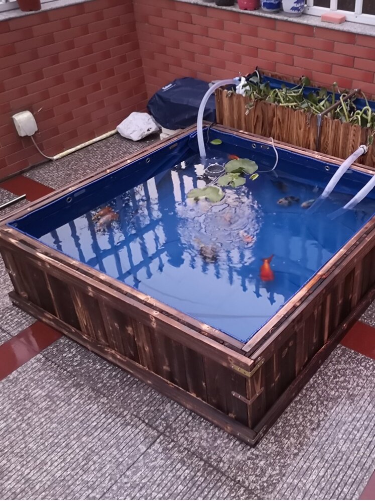 防腐实木帆布防水布鱼池锦鲤养殖专用地缸鱼缸箱户外阳台自建鱼池