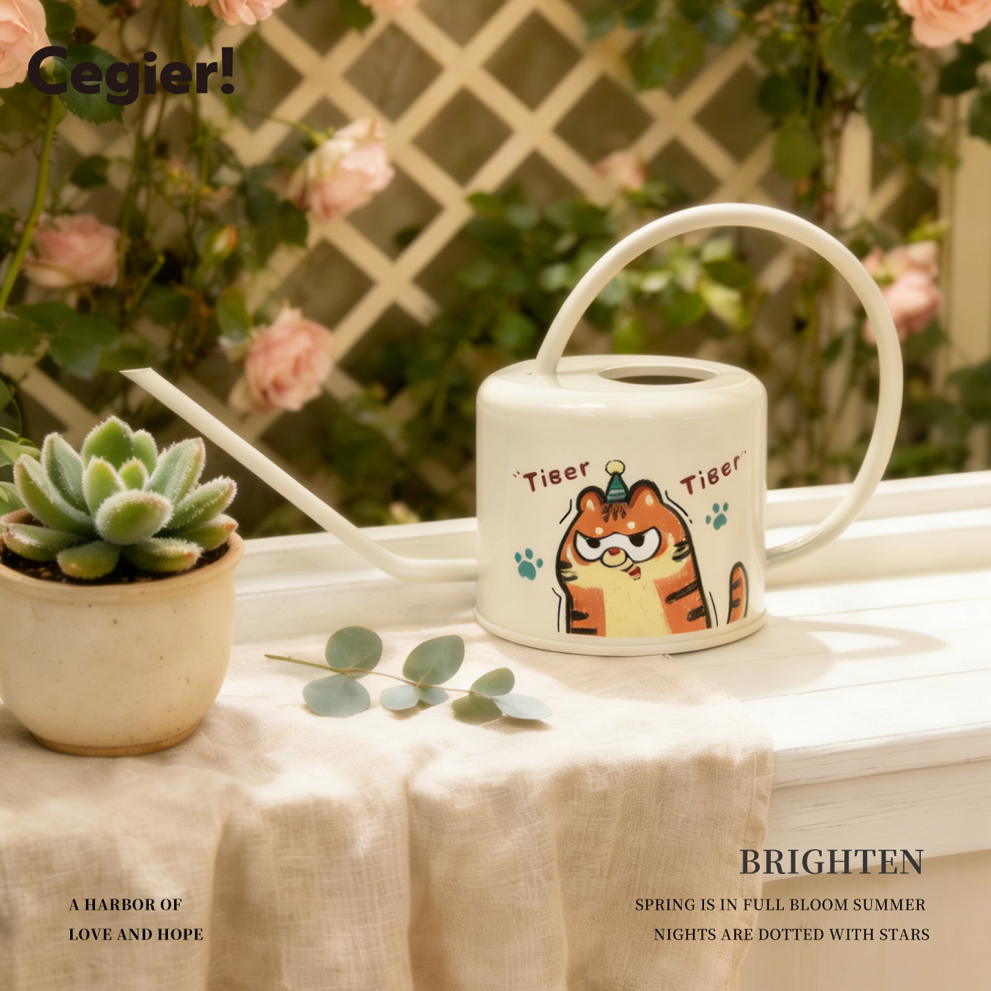 洒水壶创意可爱动物花园长嘴铁艺