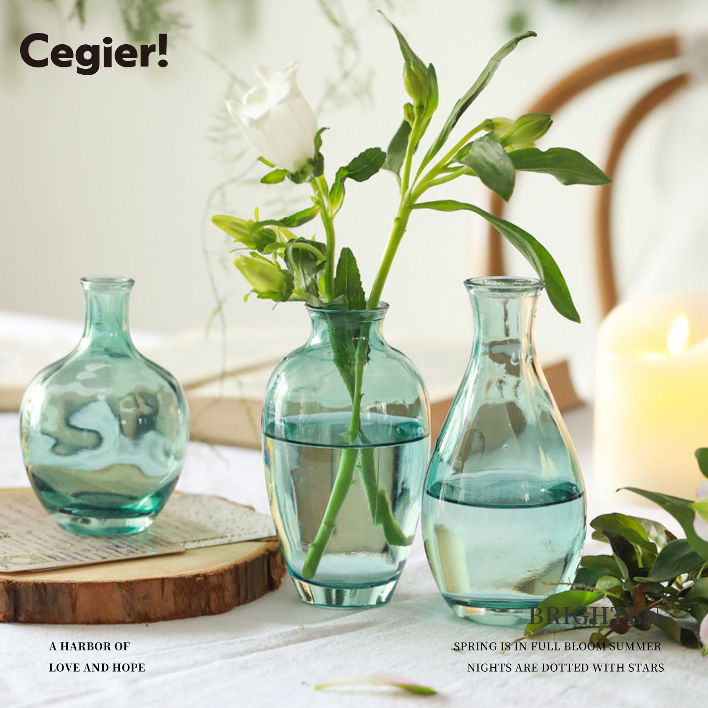 Cegier.北欧ins风花瓶玻璃高级感透明桌面摆件水培鲜花植物 |押狞,鲜花速递/花卉仿真/绿植园艺,花瓶,淘宝优惠券,粉丝福利购,淘宝优惠卷
