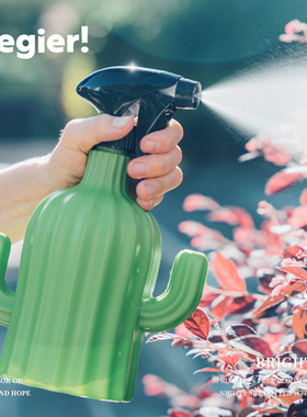 Cegier.仙人球喷壶家用园艺浇水浇花洒水壶手压喷雾壶喷瓶小|翰序