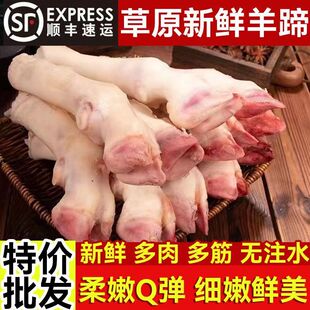 【顺丰包邮】羊蹄新鲜白花蹄冷冻山羊绵羊羔羊蹄散养批发羊肉羊腿