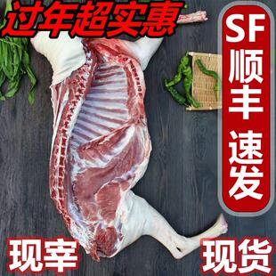 带皮内蒙古羊肉整只羊半只羊新鲜现宰冷冻全羊山绵羊肉羊腿羊排商