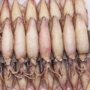 【全籽满籽】原籽籽乌满籽海兔新鲜无沙海兔子章鱼墨鱼笔管鱼批发