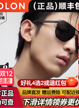 暴龙眼镜2025年偏光碳纤维钓鱼太阳眼镜开车专用驾驶墨镜男BL8127