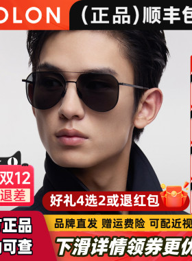 暴龙眼镜双梁偏光防紫外线近视太阳镜飞行员开车驾驶墨镜男BL8122
