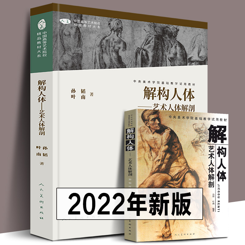 正版288页 解构人体-艺术人体解剖 素描速写绘画人体结构教学孙韬叶南中央美术学院入门基础教材教程临摹骨骼肌肉全身书籍人民美术 书籍/杂志/报纸 绘画（新） 原图主图