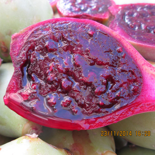 仙人掌果食用大果1斤装海南三亚新鲜水果仙人掌果实红心仙人果红