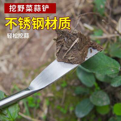 不锈钢小铲子园艺种花工具家用种菜拔除草挖土户外挖野菜铲出蒜铲