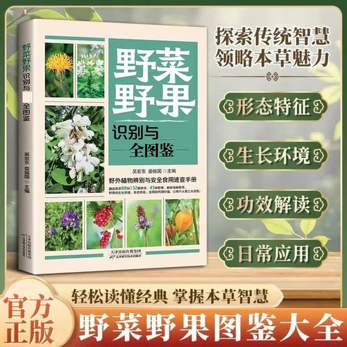 野菜野果识别与药用指南户外采摘野菜野果的种类和功效图鉴书籍