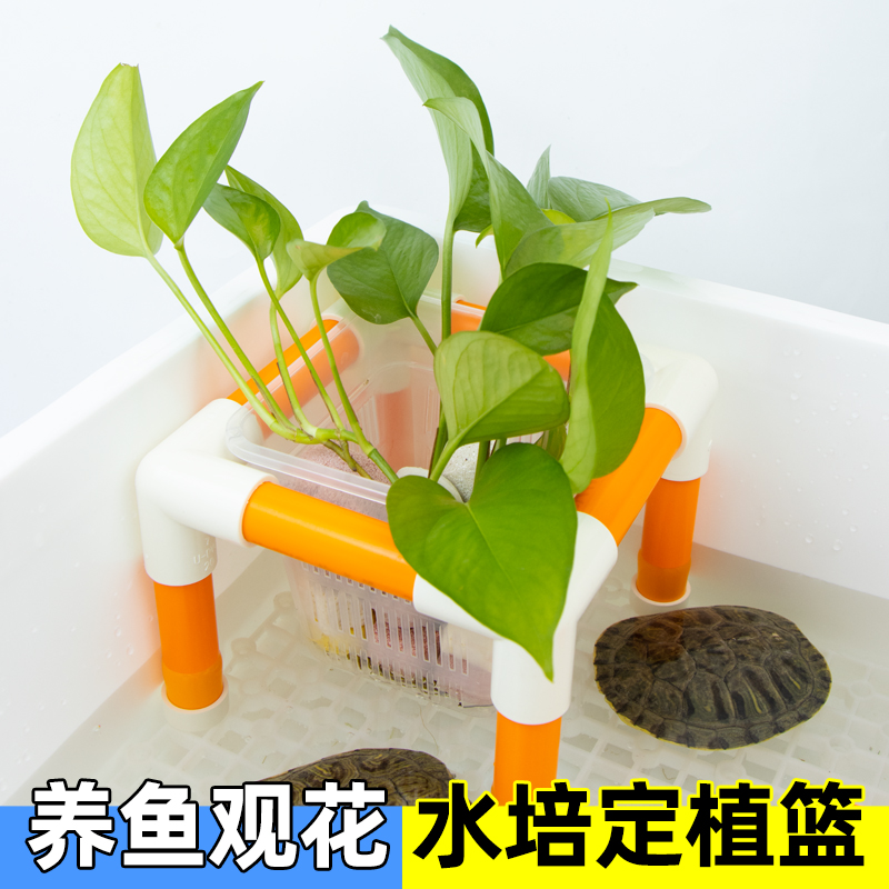 水培固定篮龟缸造景装饰