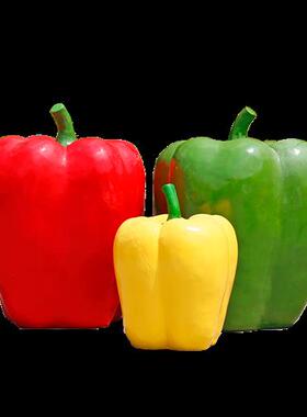 玻璃钢仿真水果蔬菜雕塑农场果园观光园草莓摆件户外园林景观小品