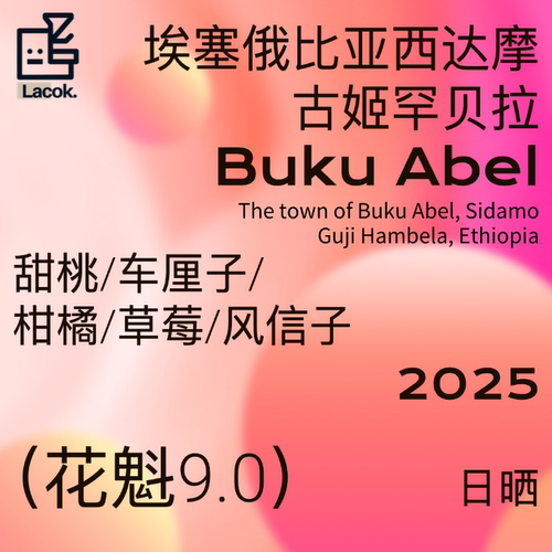 拉扣埃塞25产季罕贝拉花魁9.0