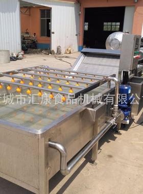 汇康制造毛豆 豌荚鼓泡清萄洗豆机网带式葡干清洗流水线变频调VOF