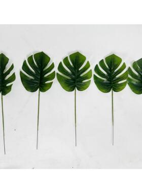 仿真人造植物仿真CY800199真叶片道龟贝叶仿景绿植配件室内装饰背