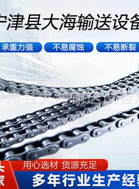 30不锈钢材质短节距距滚4子链  长节异形OJZ链条型号多样