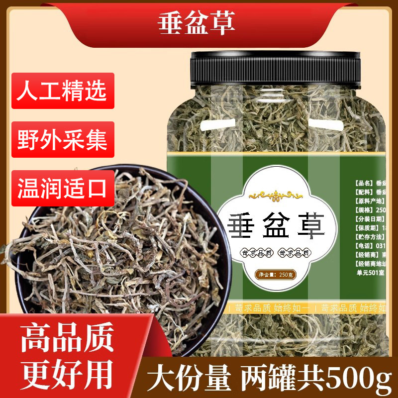 垂盆草中药材新鲜干货500g新货泡水深山垂盆草的功效锤盆草狗牙草