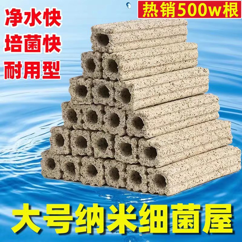 【1000w人选择了】加硬8D细菌屋