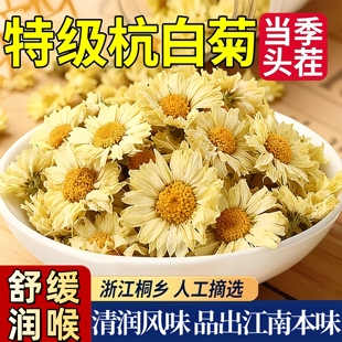菊花茶杭白菊500g花桐乡特级正宗杭菊杭州贡菊胎菊正品官方旗舰店