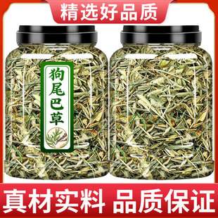 狗尾巴草中药材官方旗舰店新鲜中药材草狗尾草九尾草干草中草药