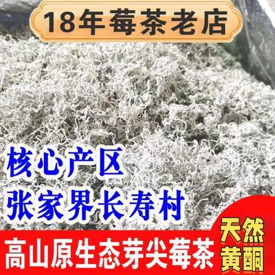 莓茶正宗永顺张美丽官方旗舰店莓茶湖南永顺张家界莓茶官方旗舰