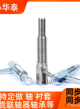 LBLT SBLT 旋钮柱塞L型分度销弹簧定位销 M6M8M10M12M16厂家现货