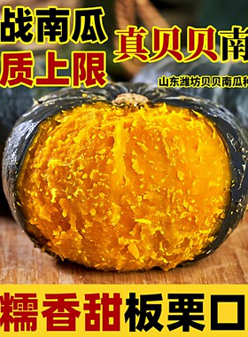 贝贝南瓜正宗板栗味粉糯香甜板栗小南瓜老南瓜婴儿辅食新鲜蔬菜