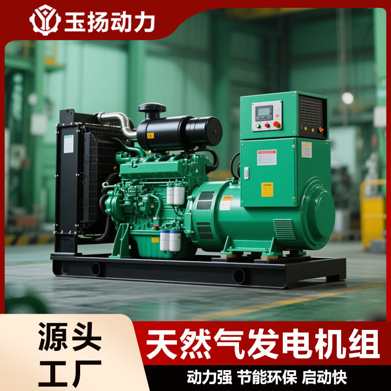 出口俄罗斯1MW天然气发电机组1000kw管道天然气发电 工厂常用电源
