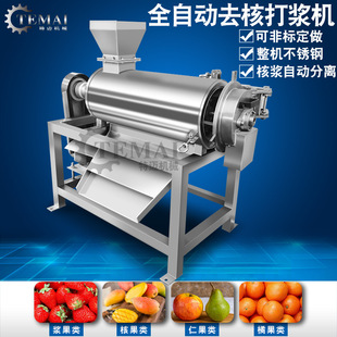 全自動牛油果打漿機(jī) 工廠銷售藍(lán)莓榨汁機(jī) 大型雙道芒果打漿機(jī)