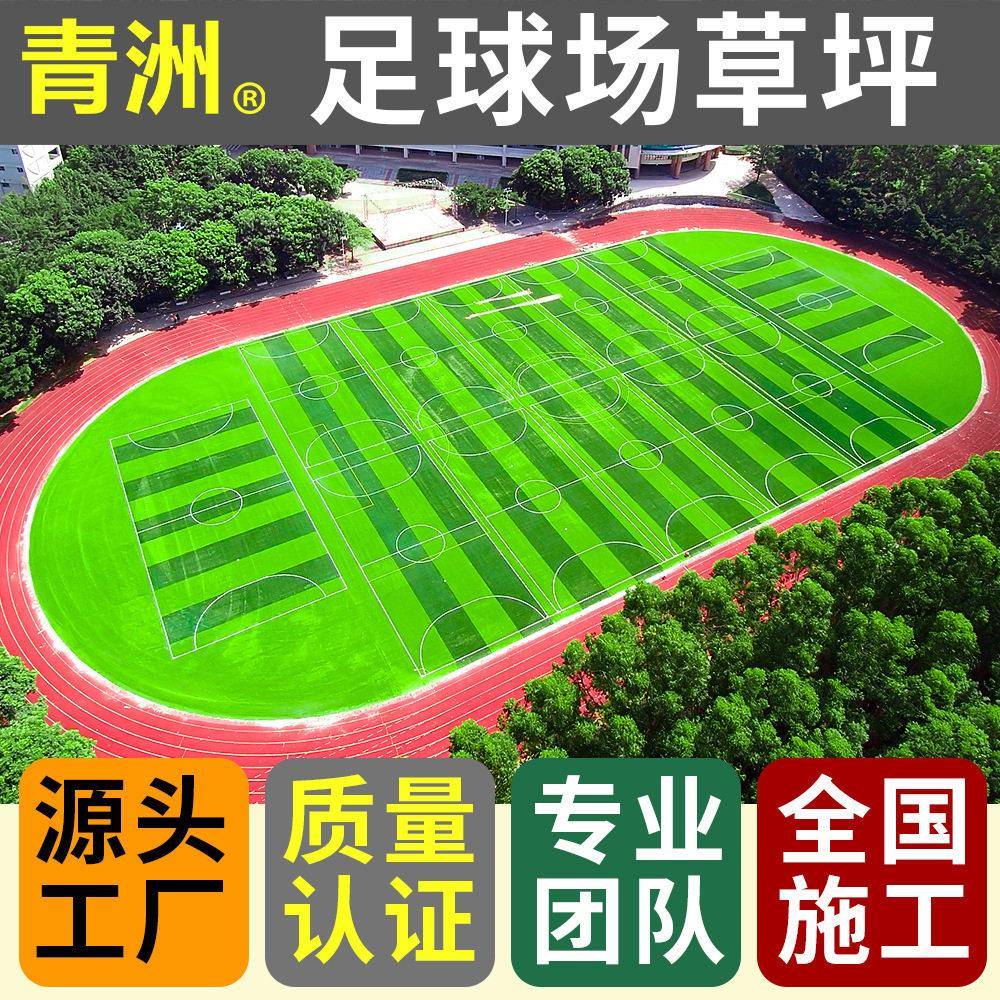 青洲实力厂家5cm填充人造草坪定制足球场草坪全国支持上门施工