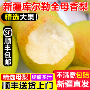 正宗新疆库尔勒香梨梨子新鲜孕妇水果整箱10斤特级旗舰店顺丰包邮