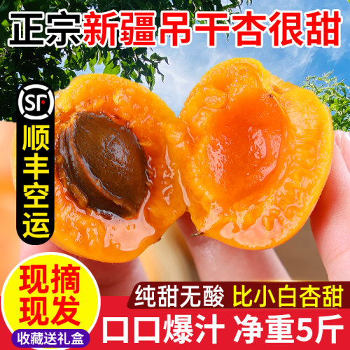 新疆小红杏新鲜5斤顺丰包邮