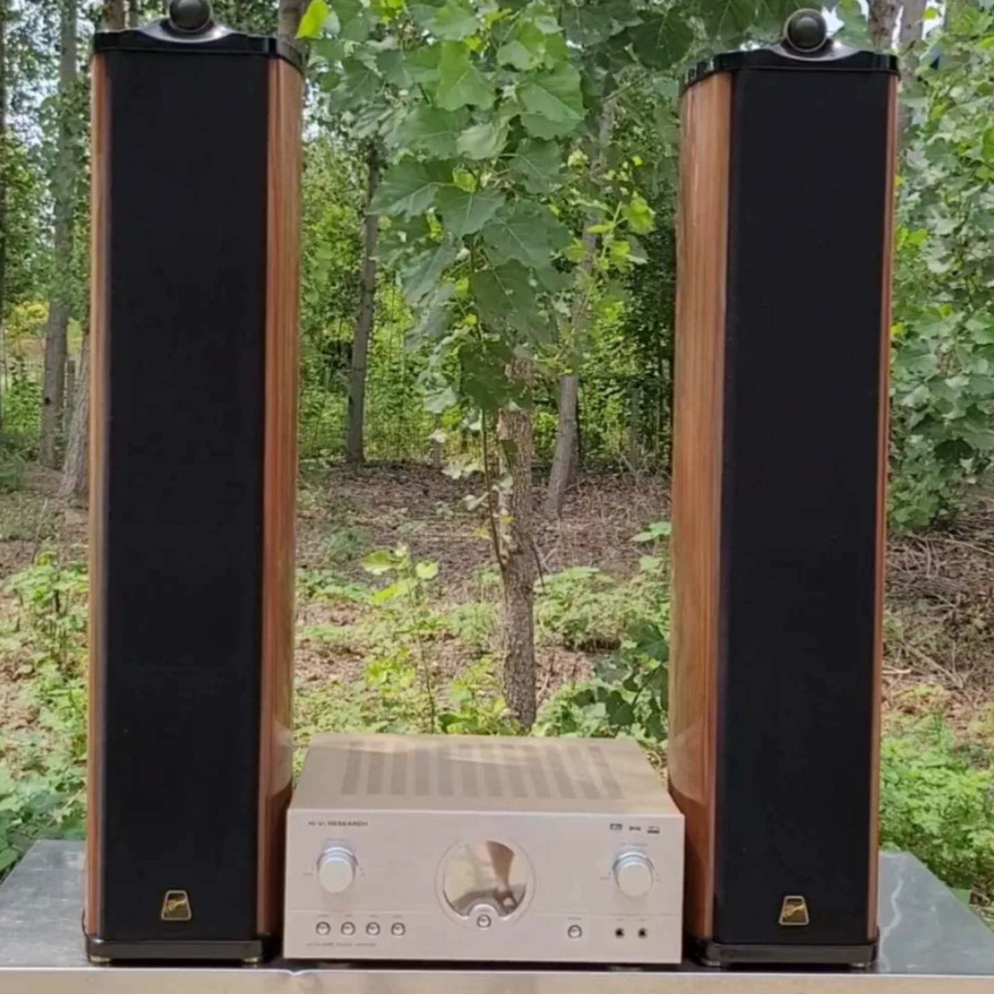 可维修Diva 4.2F Diva 4.2F，惠威惠威系统形式三路