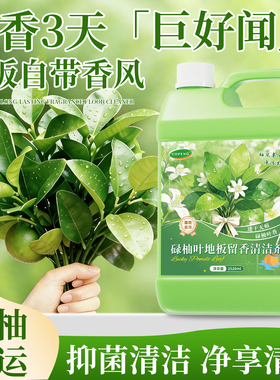 YOPENG香氛地板清洁剂柚叶拖地清洁木地板瓷砖大容量强力去污留香