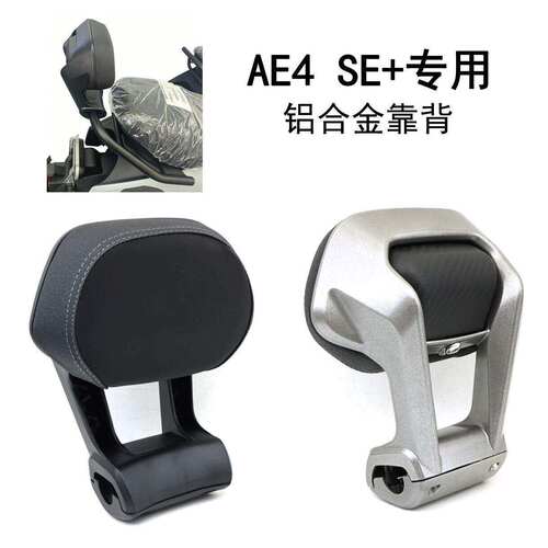 适用极核AE4SE+电动车铝合金后靠背 EZ圆管管扶手铝腰靠直上专用