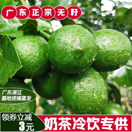 广东正宗香水柠檬新鲜水果当季现摘现发无籽商用青柠檬奶茶店专用