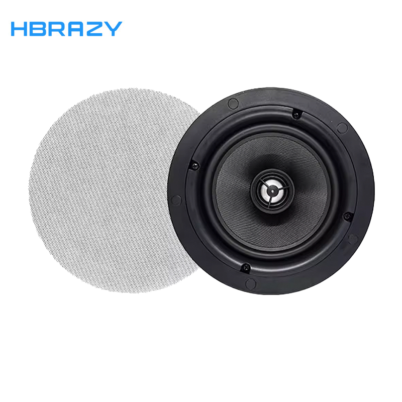 HBRAZY智能家居背景音乐控制器定阻同轴吸顶吊顶喇叭音响X2
