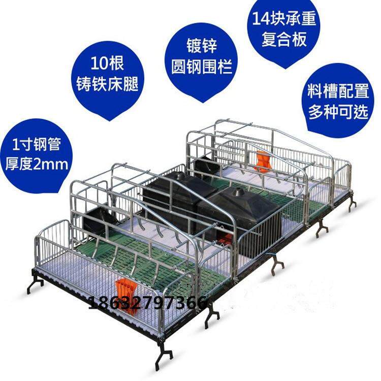 欧式母猪产床可调节母猪位双体猪床河北世昌