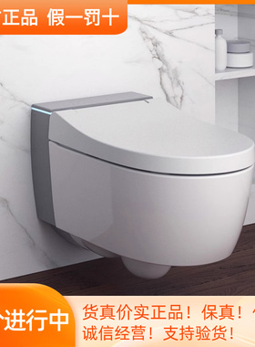 GEBERIT吉博力Spina滨娜一体智能座厕壁挂式坐便器挂墙式悬空马桶