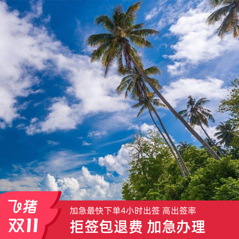 越南三个月多次入境南宁送签