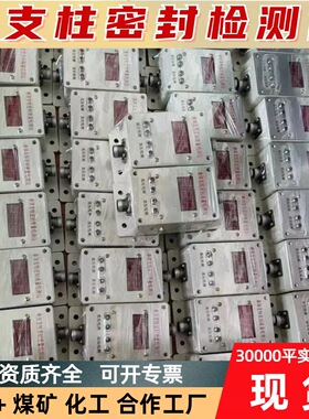 矿山支护安全设备 便携式高压密封测试 DK-11B支柱密封检测仪