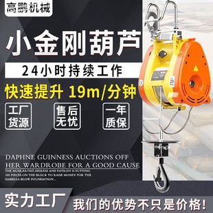升降机吊运机220V小型悬挂提升机 挂钩便捷式 小金刚微型电动葫芦