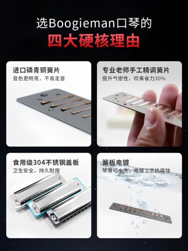 Boogieman Paddy调音口琴十孔蓝调十孔初学者花园同款