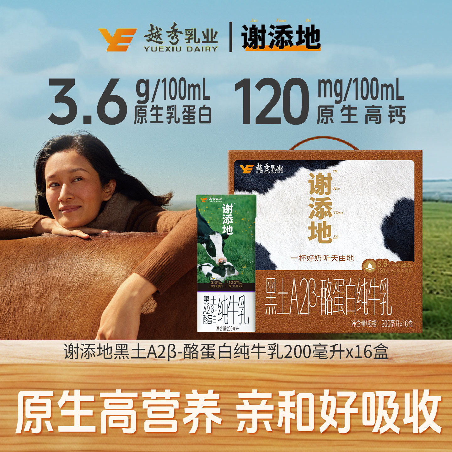 16盒谢添地黑土A2β-酪蛋白纯牛乳牛奶3.6g蛋白A2型牛奶营养早餐 - 实物图