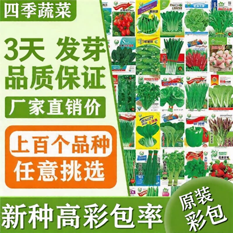 秋冬蔬菜种子大全室内外农家阳台庭院播种香菜生菜葫芦小油菜种子